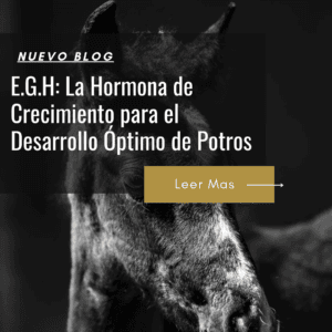 precio hormona crecimiento potros