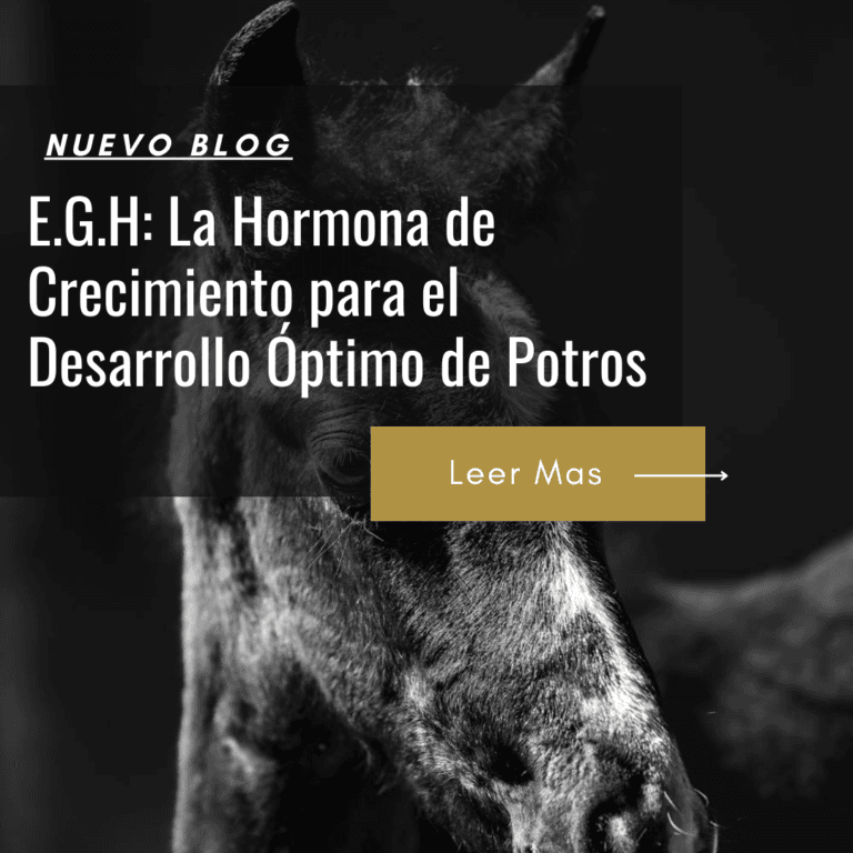 precio hormona crecimiento potros
