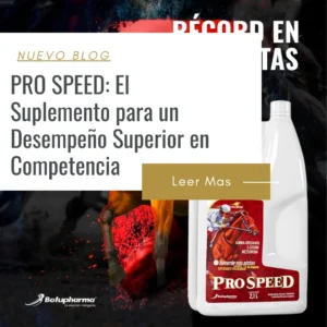 precio pro speed equinos