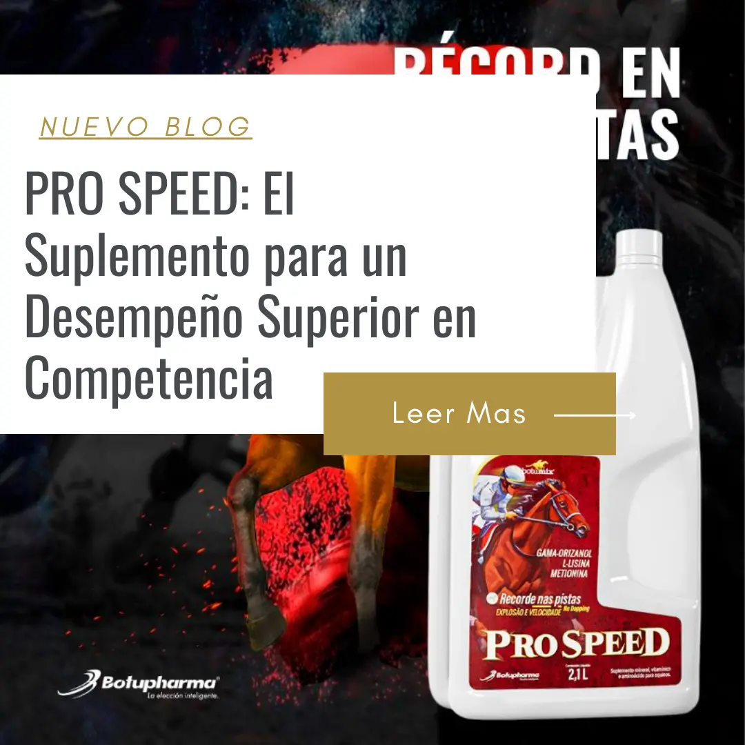 precio pro speed equinos