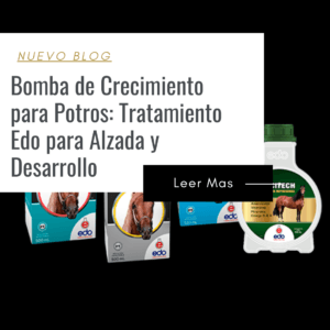 precio bomba de crecimiento edo para caballos