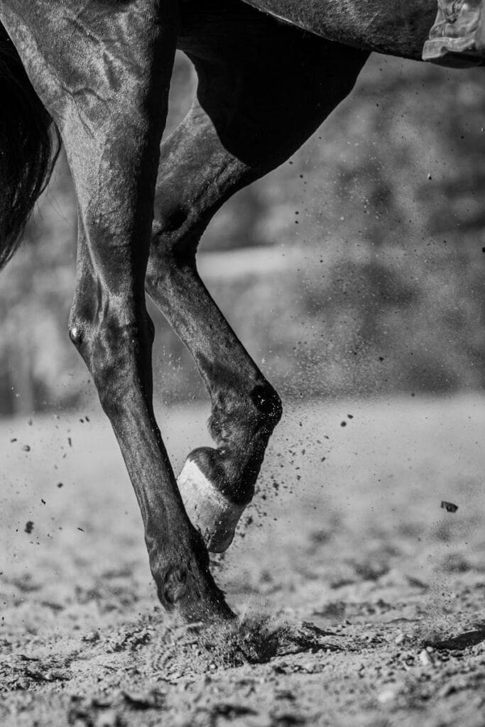 Dynamic close-up of a horse galloping on a sandy track, showcasing strength.