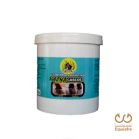 comprar en linea sanacascos caballos