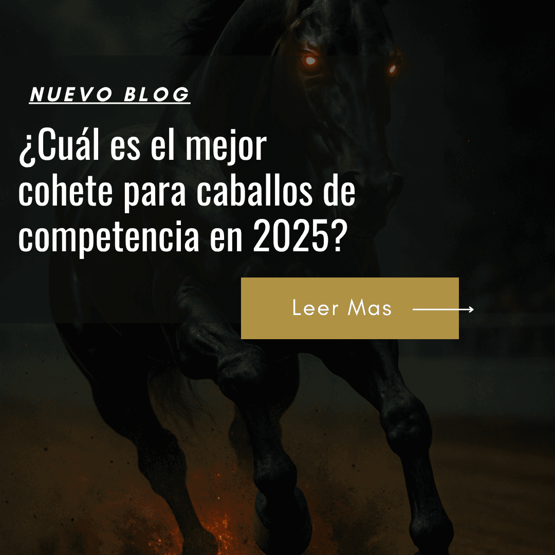 precio cohetes para caballos de competencia