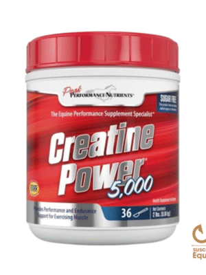 precio creatine power 5000 caballos