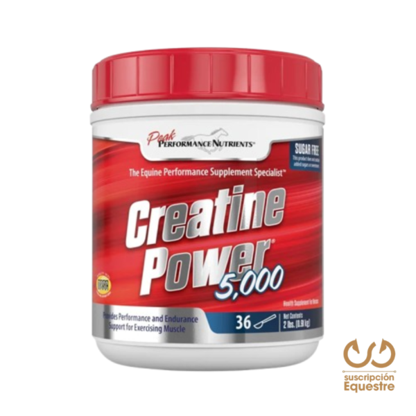 precio creatine power 5000 caballos