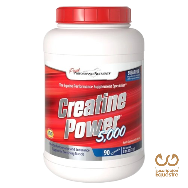 comprar creatina para caballos