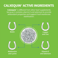 vitaminas para los cascos de caballos