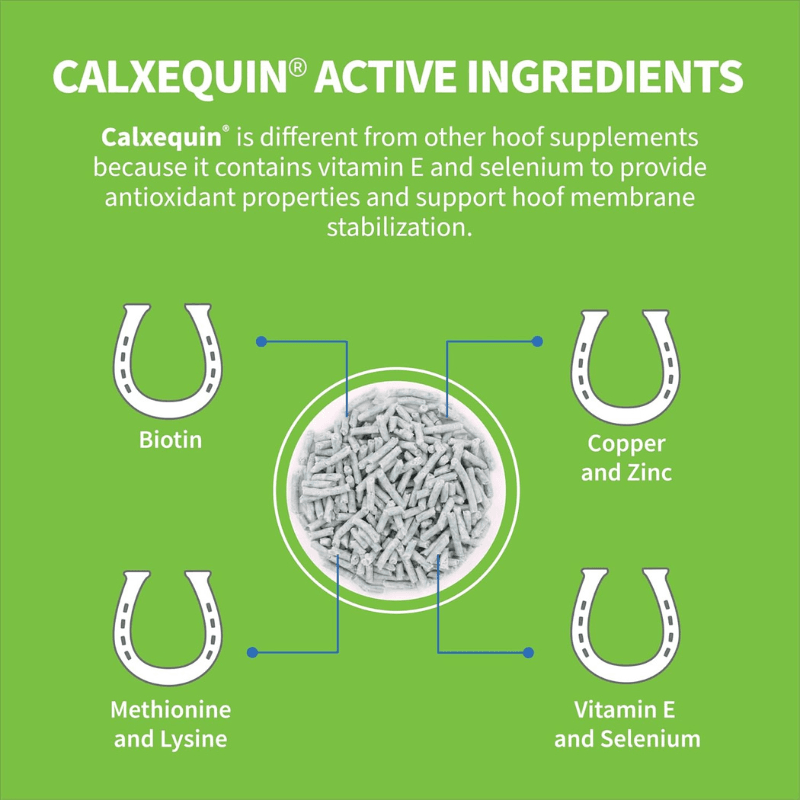 vitaminas para los cascos de caballos