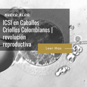 cuanto cuesta la técnica icsi en colombia