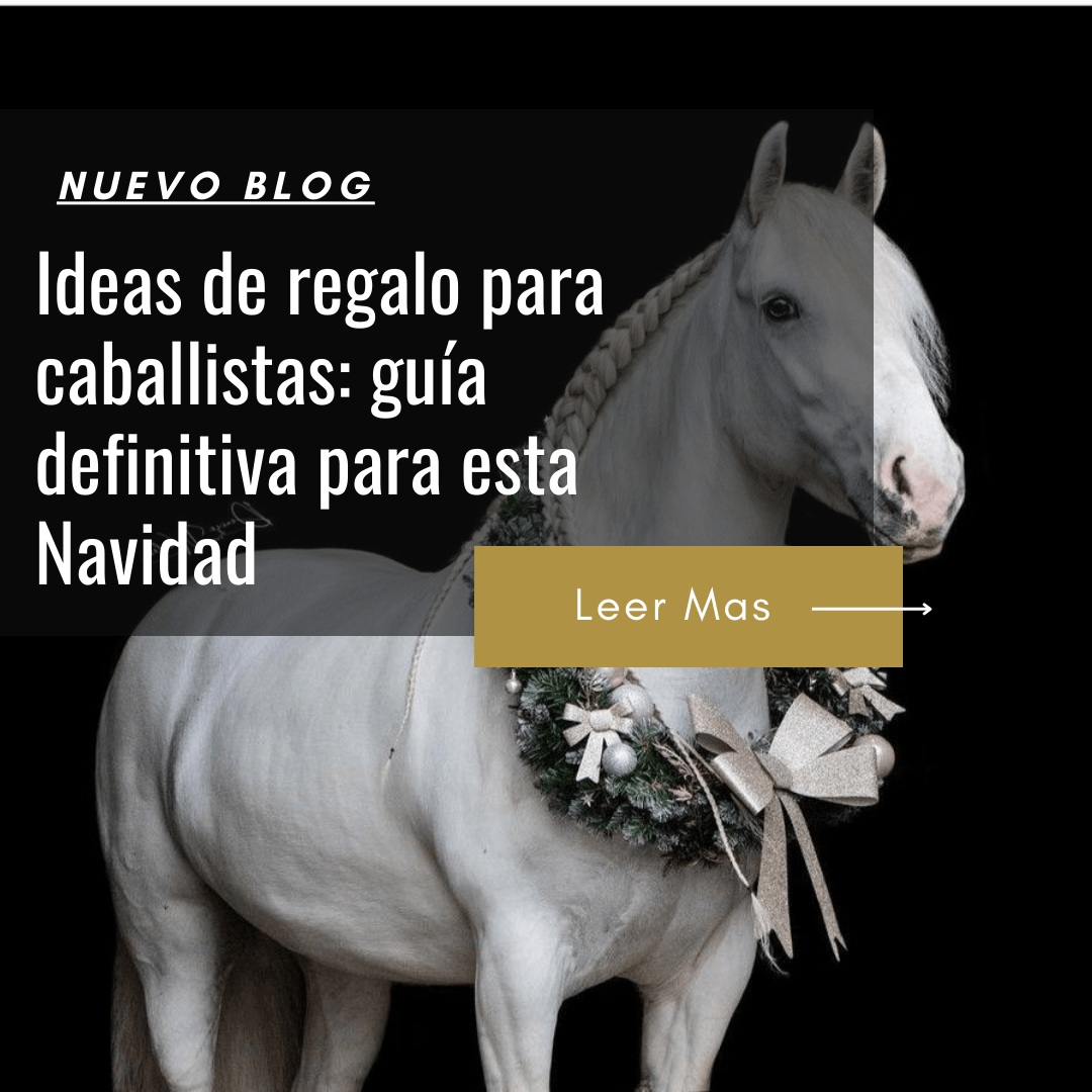 que regalarle a una persona que le gustan los caballos