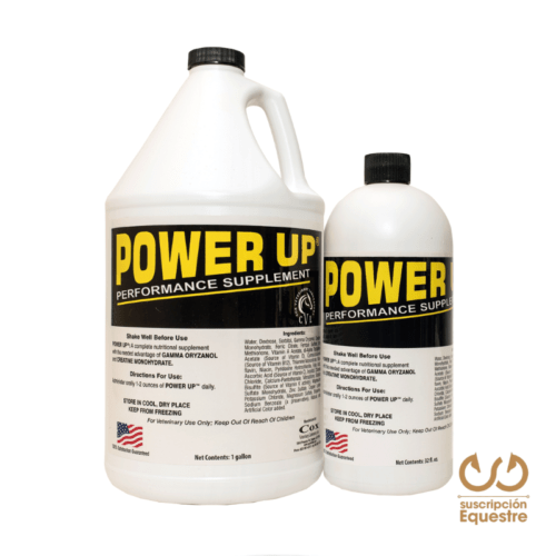 POWER UP – Energía, Masa Muscular y Condición Corporal para Caballos de Alto Rendimiento