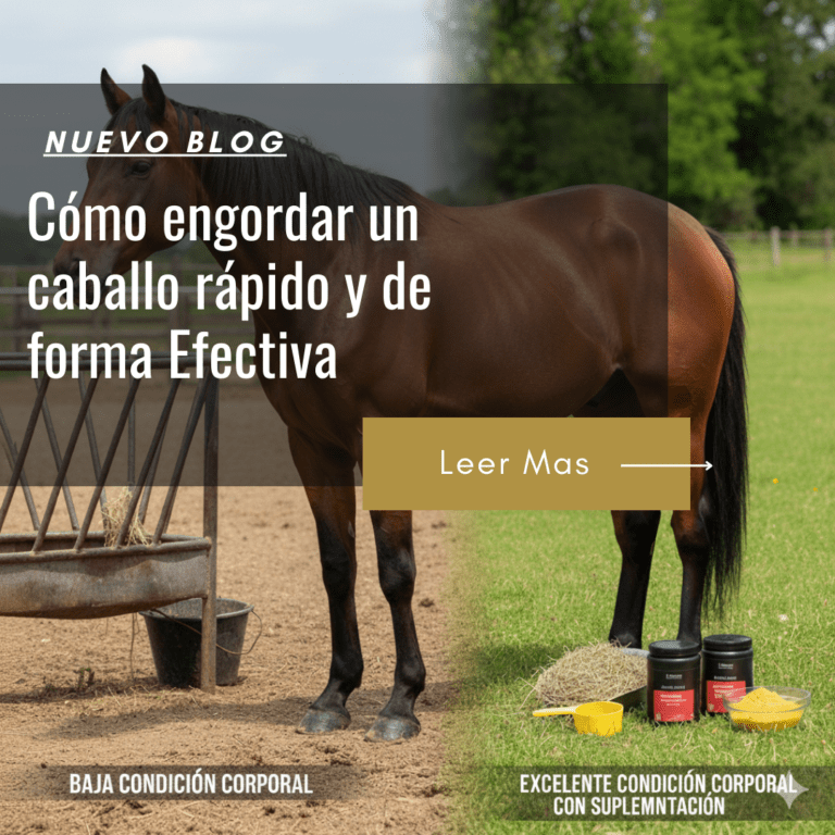 vitaminas para engordar caballos rapido