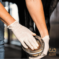 para que sirve el magic cushion en caballos