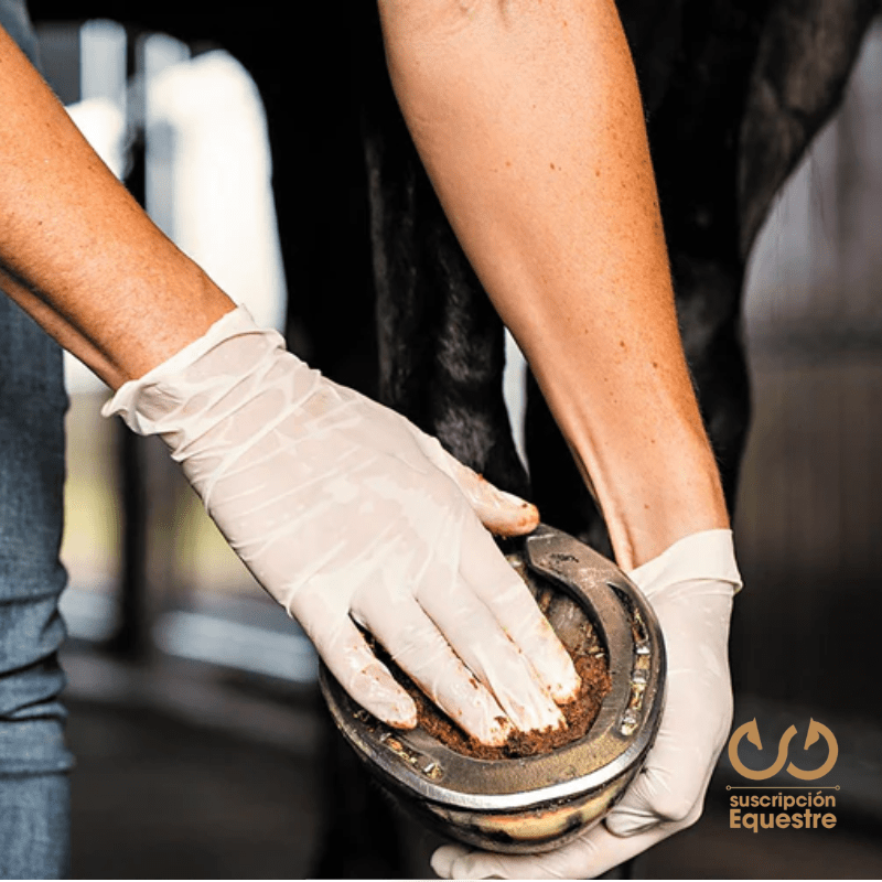 para que sirve el magic cushion en caballos