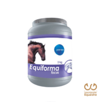 precio equiforma focus