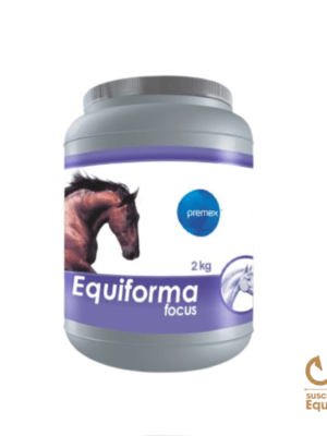 precio equiforma focus