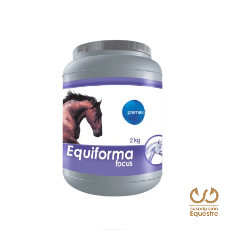 precio equiforma focus