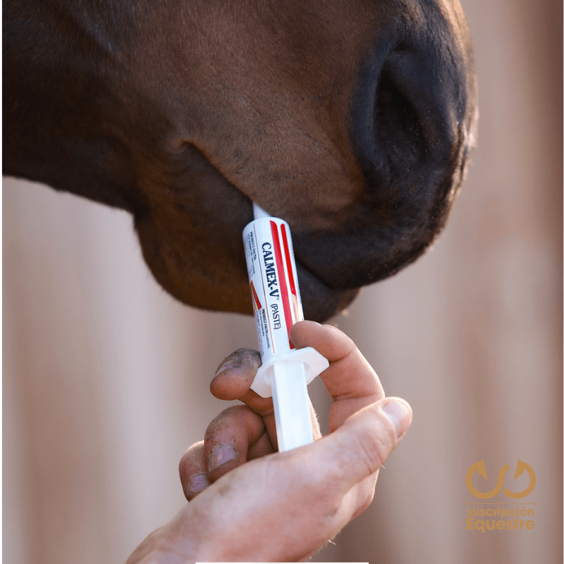 comprar jeringas para tranquilizar caballos para competencia