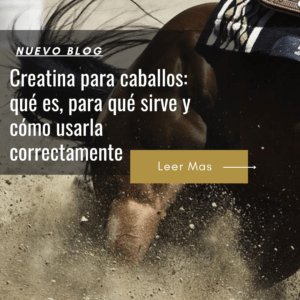 precio creatina para caballos