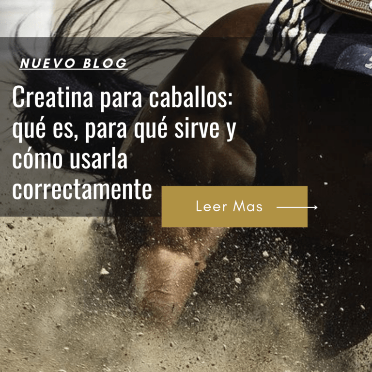 precio creatina para caballos