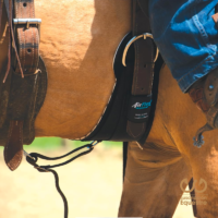 donde comprar cincha airflex en colombia