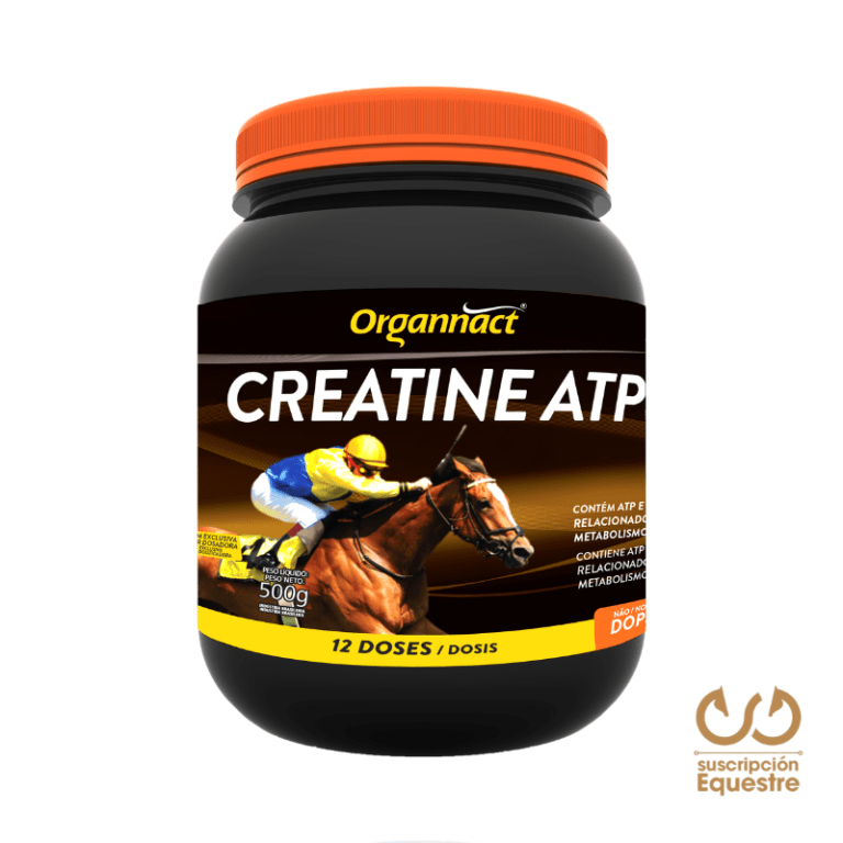 Creatine ATP – Energía explosiva para caballos atletas | Suscripción ...